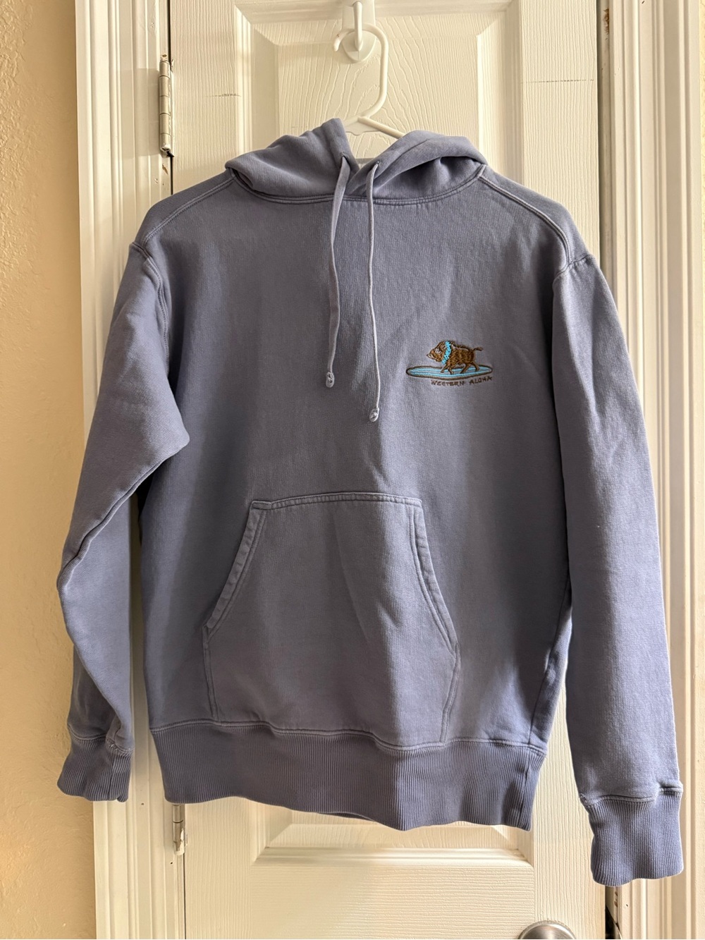 Men's Western Aloha Light Blue Graphic Hoodie Sweatshirt